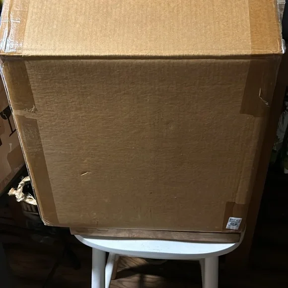 West Elm Spooky 🐍 Snake Hurricane Candle Holder BNIB SO COOL